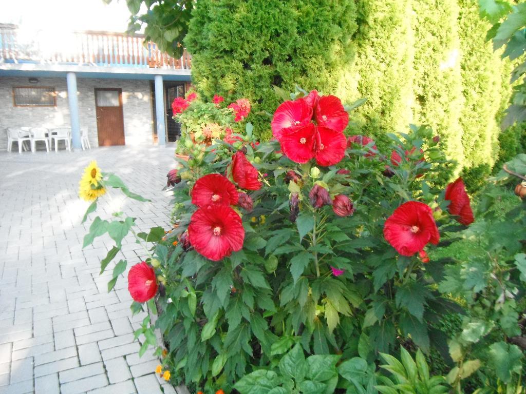 Szoloskert Apartman Cserszegtomaj Exterior foto